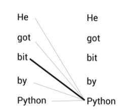 Python과 다른 모든 단어의 관계