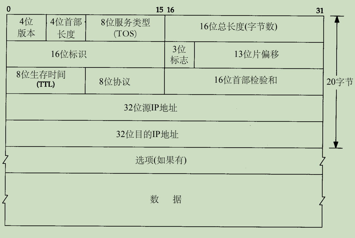 IP 首部