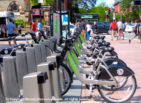 Bike sharing business online