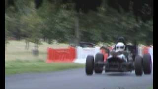 Racing Seagull? at Phoenix Park Races