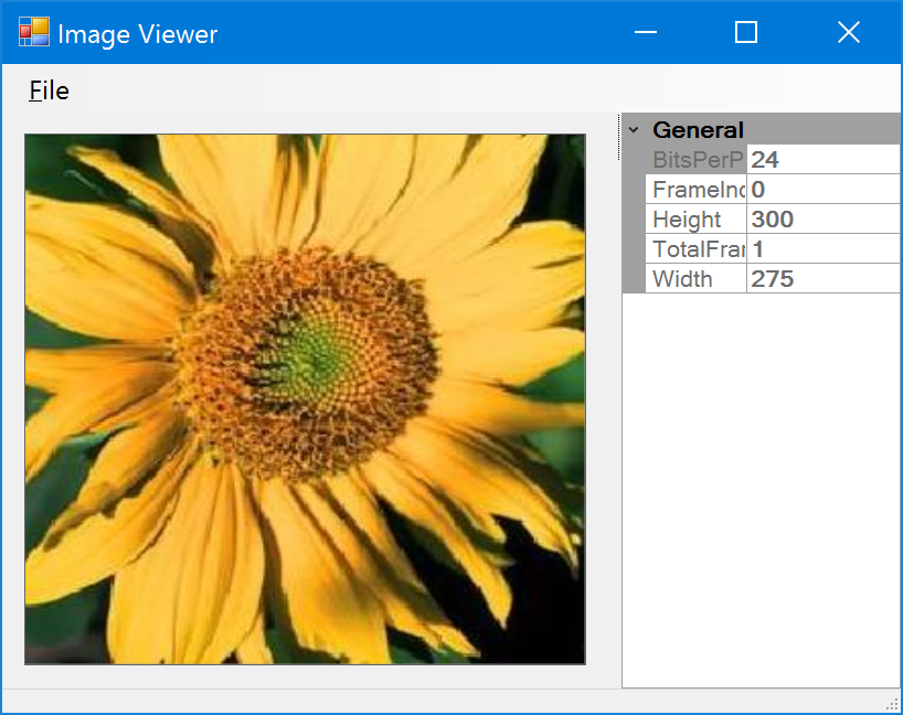 Image viewer sample application