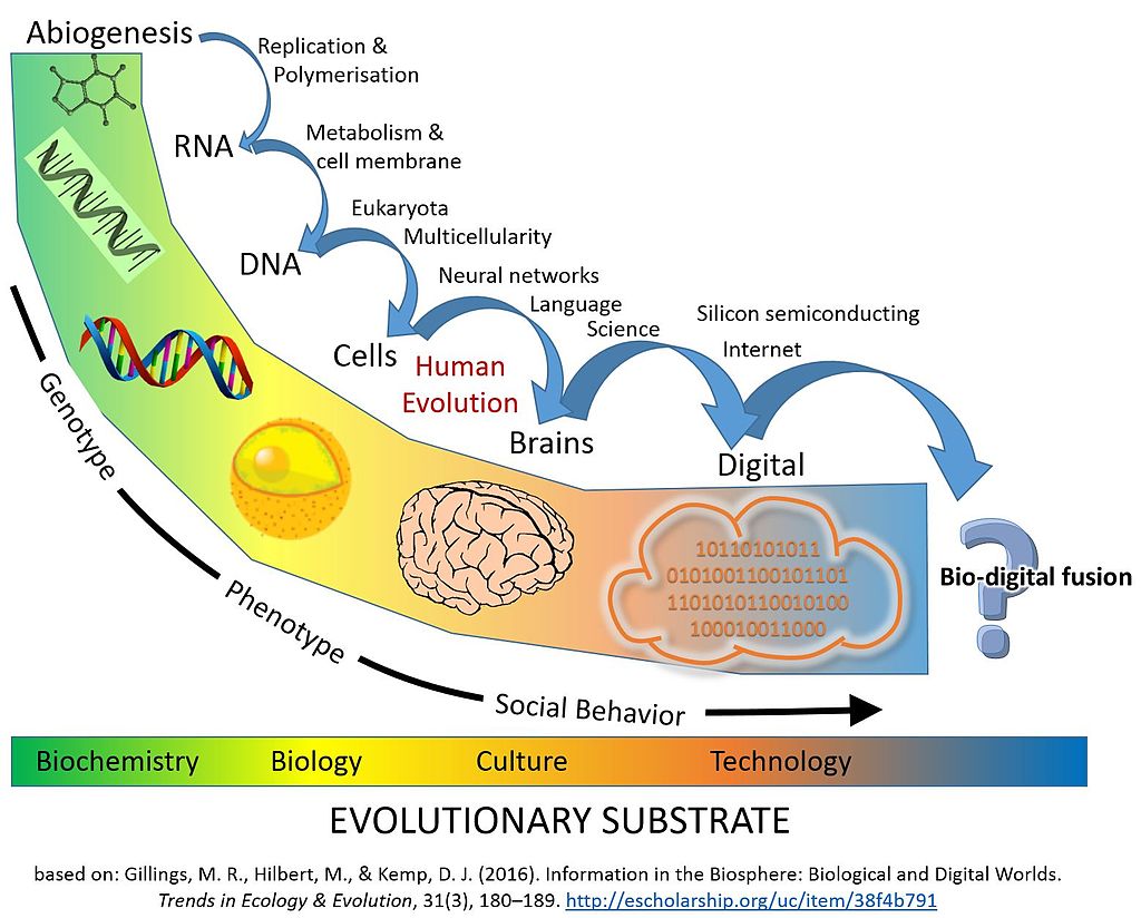 Major_Evolutionary_Transitions_digital