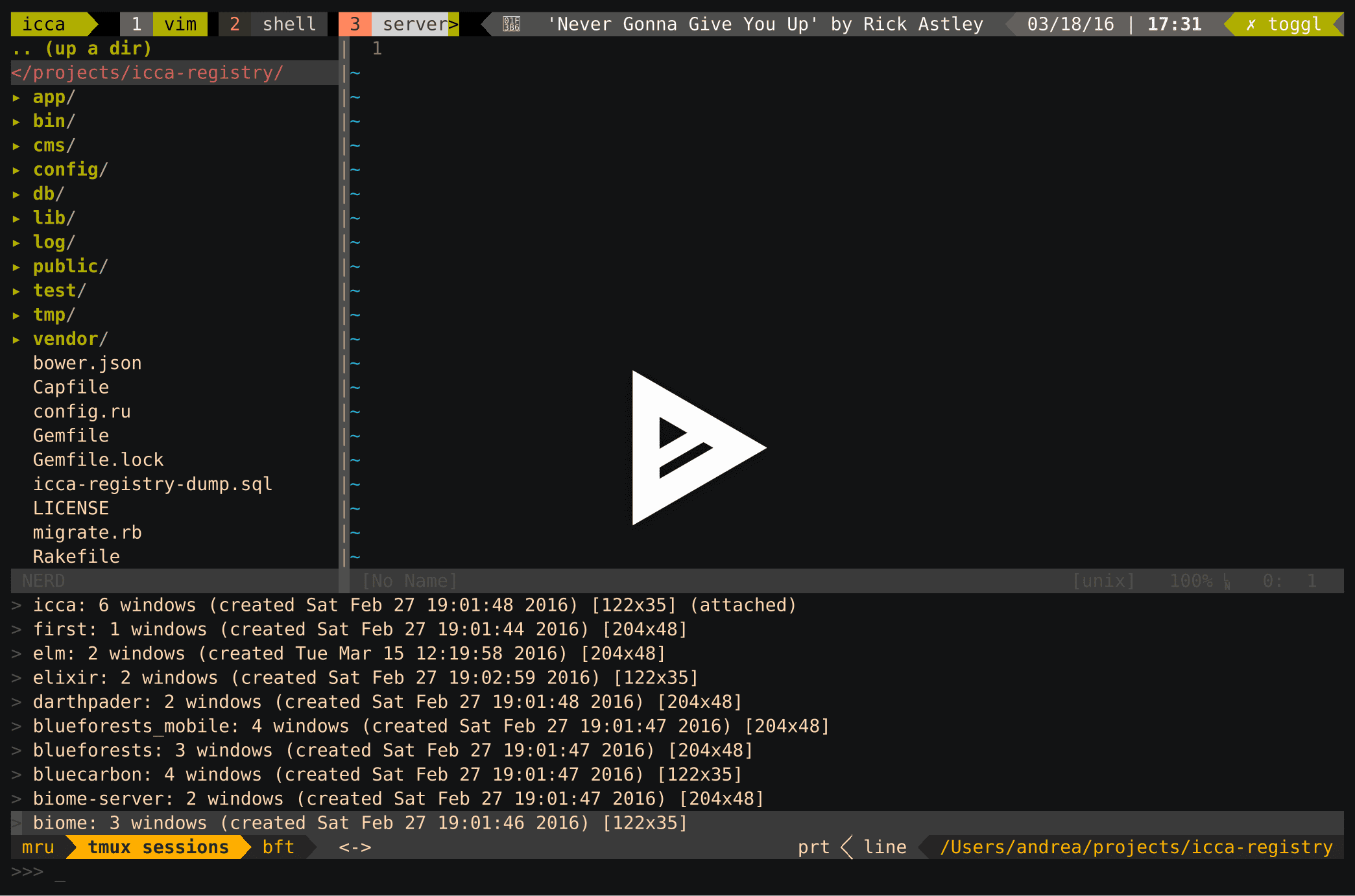asciicast