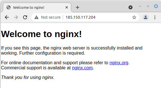 Nginx page