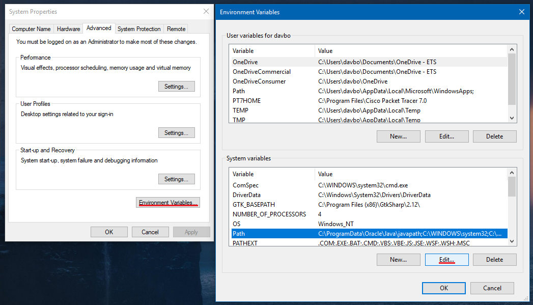 Environment variables screen