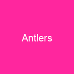 Antlers