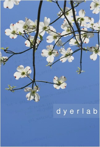 Dyerlab logo