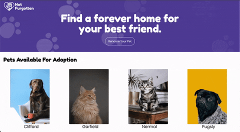 Pet Application page