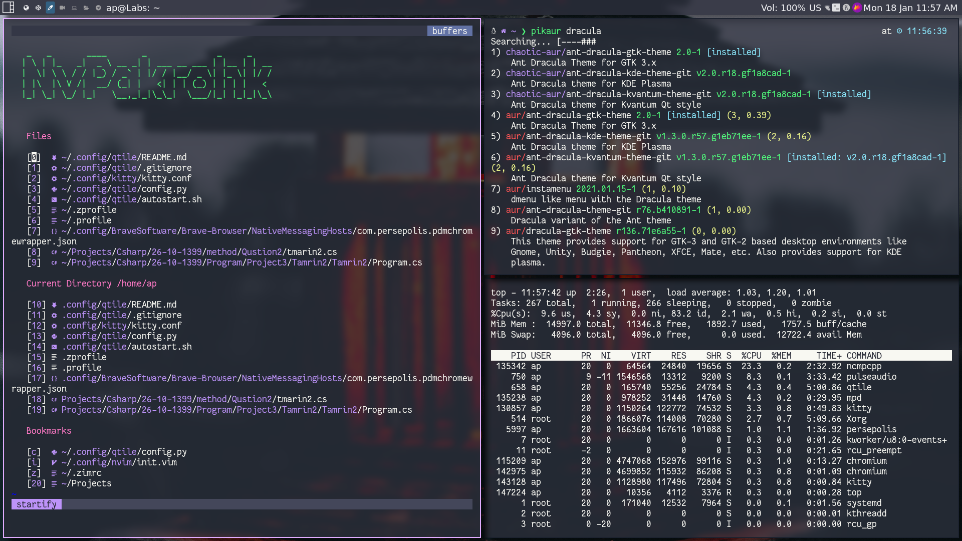 Qtile Transparency Term 