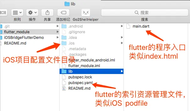 flutter module文件分析.png