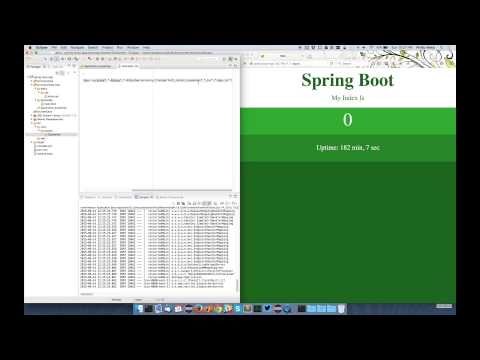 Spring Developer Tools