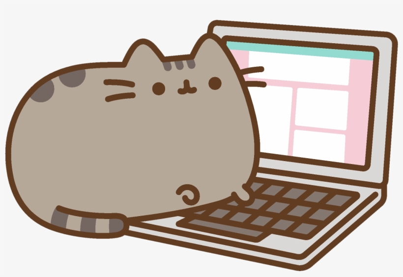 Pusheen on the computer