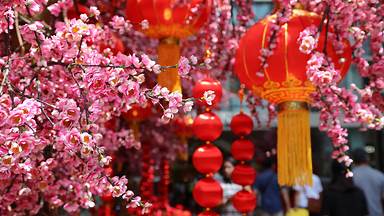 https://cn.bing.com/th?id=OHR.ChineseSpringFestival2023_ZH-CN7281854882&w=384&h=216