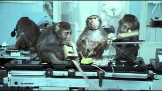 Basement Jaxx - Where's Your Head At   Official Video   Rooty
