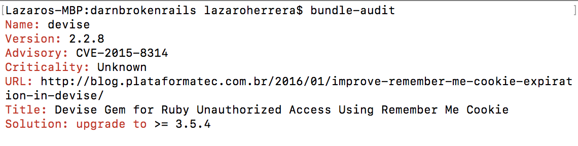 Run bundle-audit