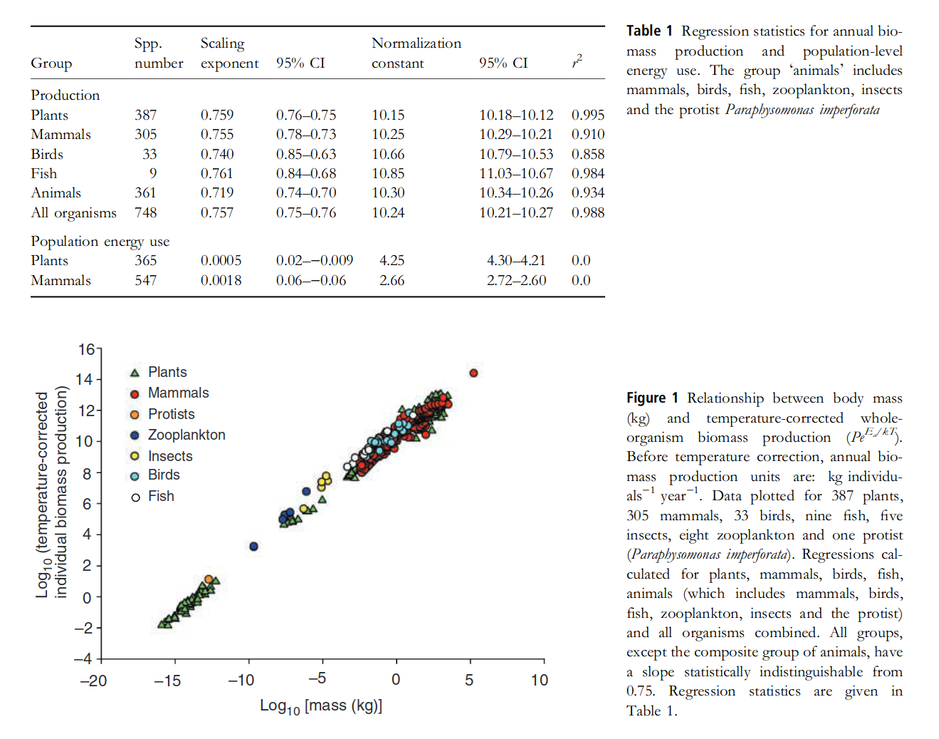 Ernest et al, Ecol. Lett. 2003