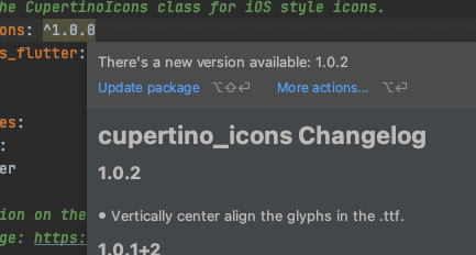 View package's changelog screenshot