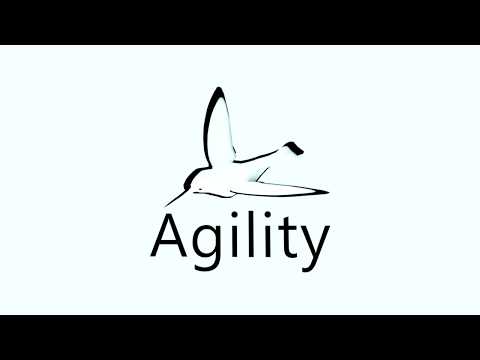 Agile Video Tour