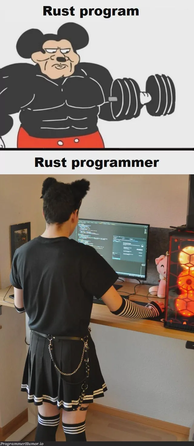 rustlangmeme