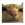 Cat Bot PFP