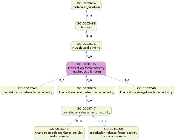 GO term lineage