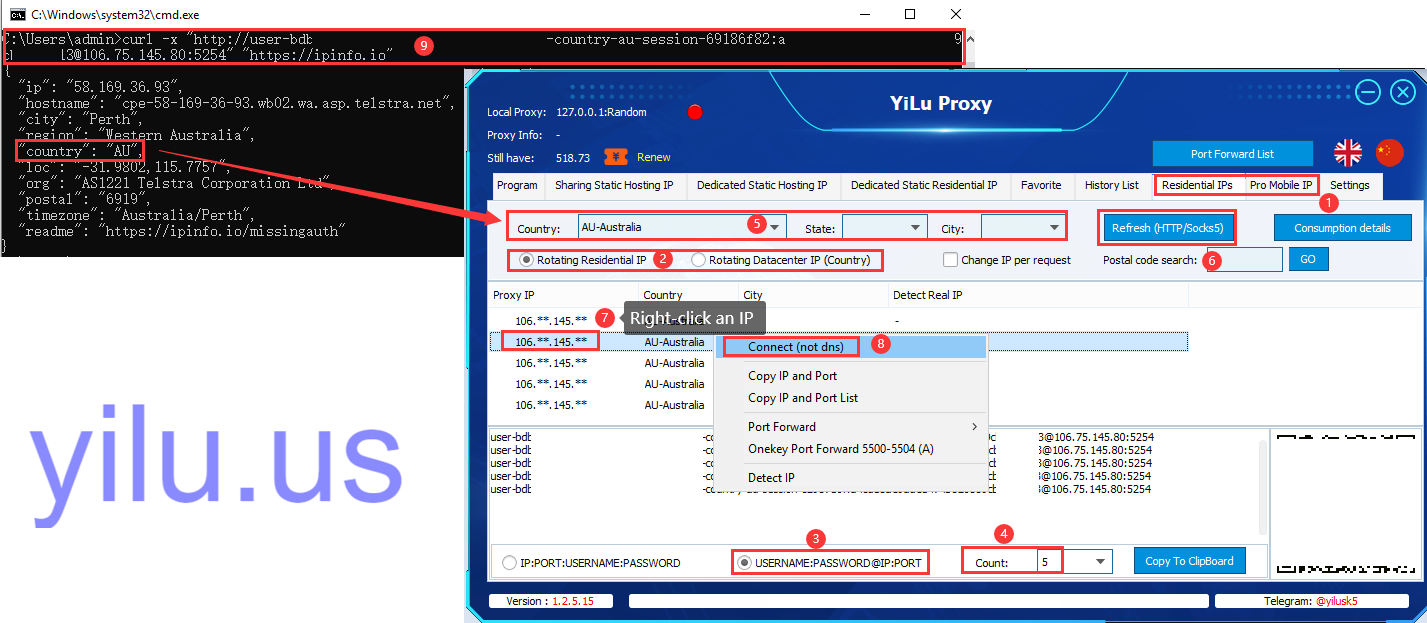 cURL with Proxy