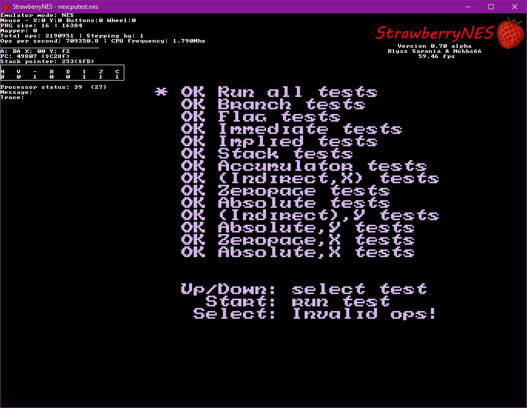 NES cpu test