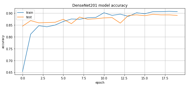 DenseNet201 model accuracy