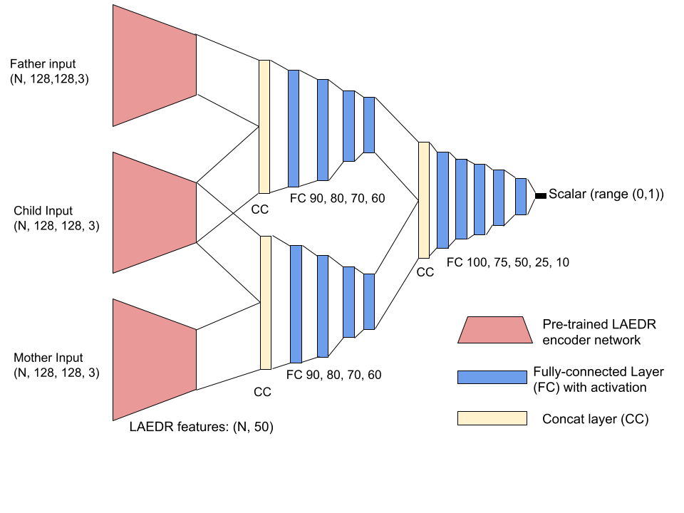 Network Architecture 