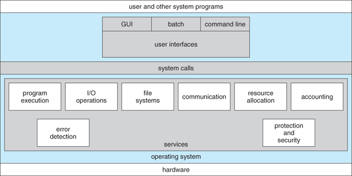 System View