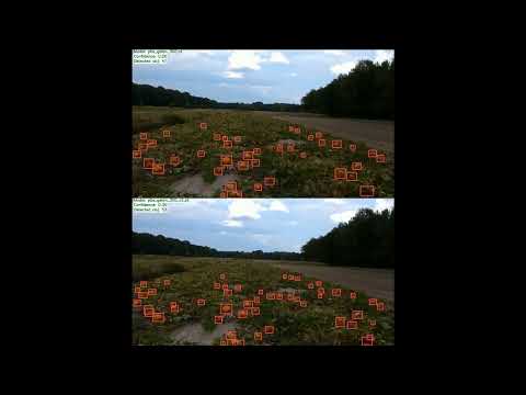 Detecting pumpkins from drone video