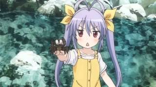 Dr .にゃんぱすー