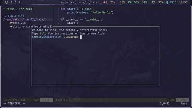 neovim2