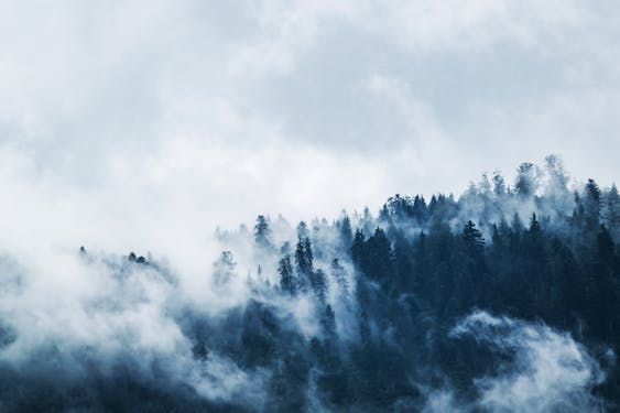 Mountains with fog