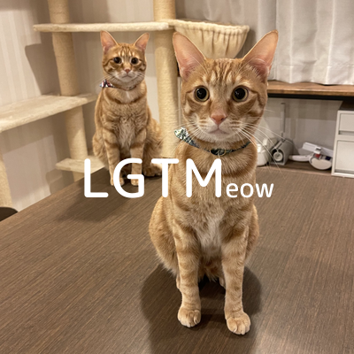 LGTMeow