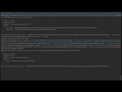 encloud CLI Demo