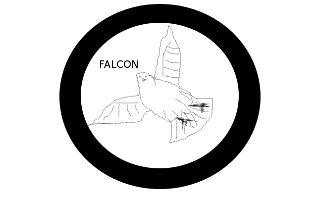 FALCONs falcon