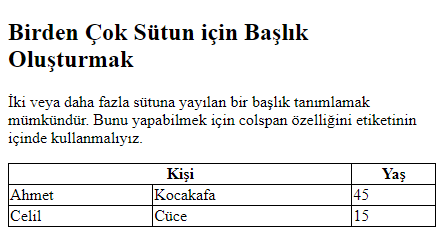 Çıktı