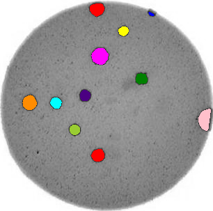 Morphometrics for bacterial colonies