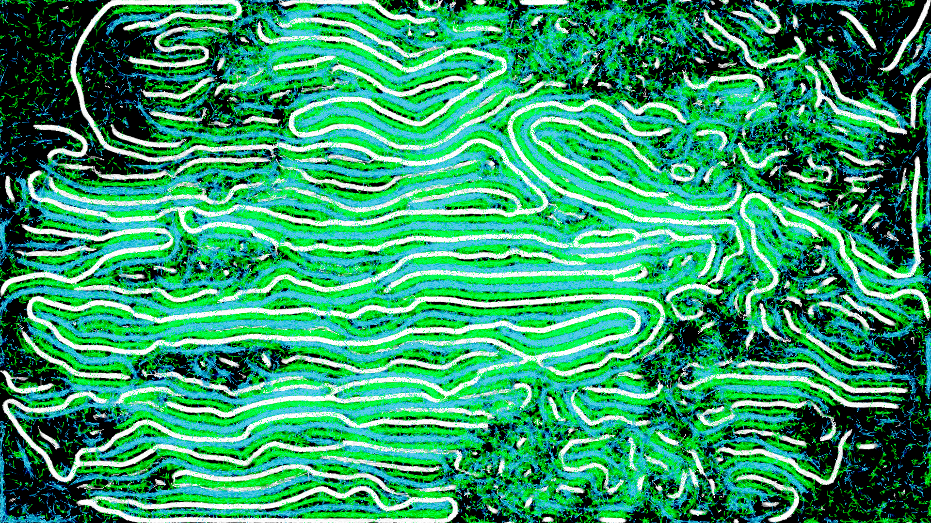 GitHub - mrinuccini/Slime-Simulation: Slime Mold Simulation made in ...