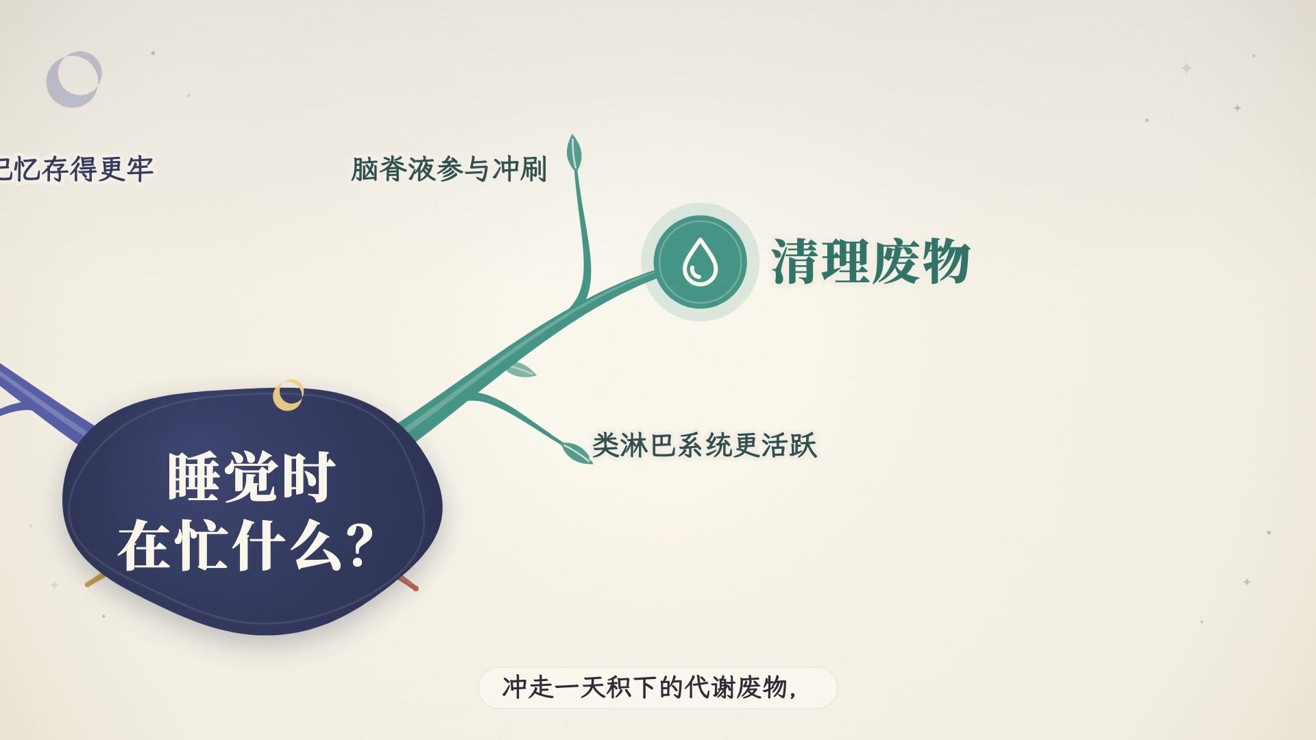 生长导图 · 知识讲解 · 横屏