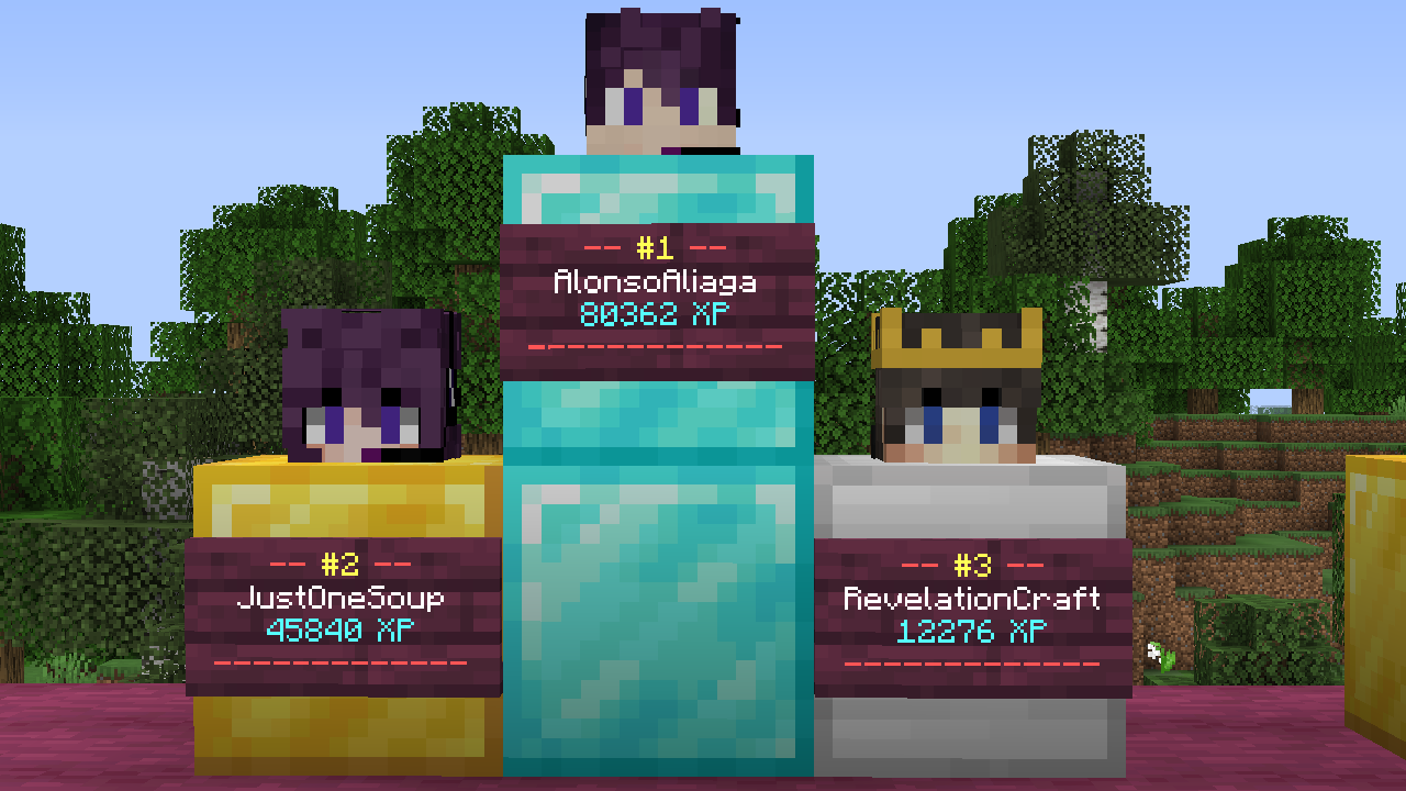 Experience leaderboard