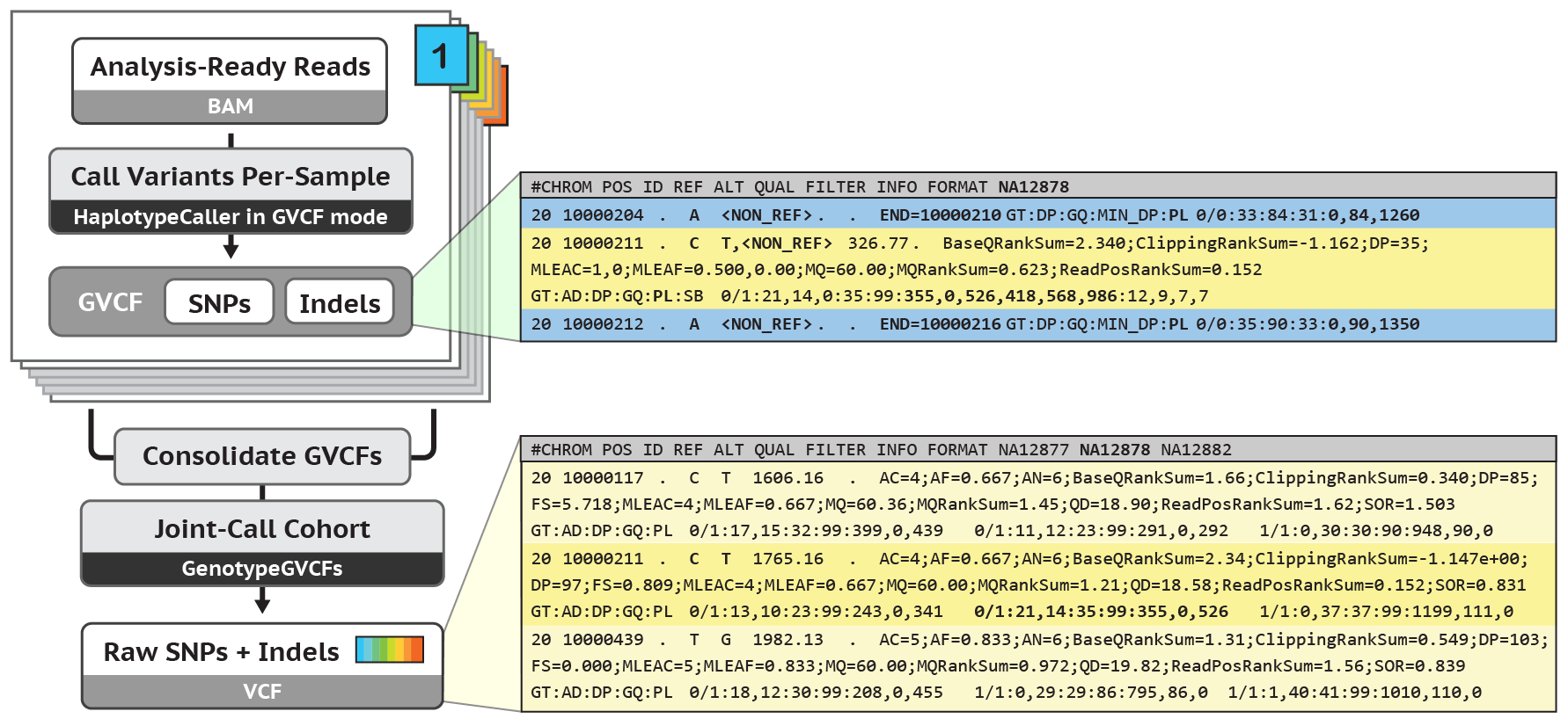 GCVF Workflow