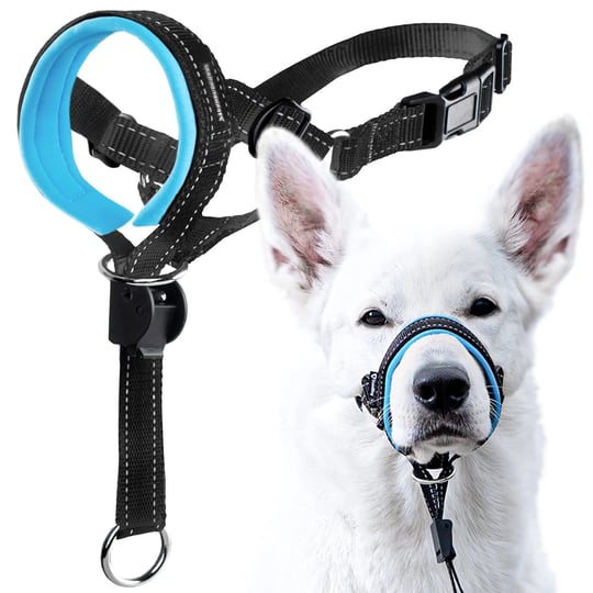 goodboy-dog-head-halter-with-safety-strap-stops-heavy-pulling-on-the-leash-padded-headcollar-for-sma-1