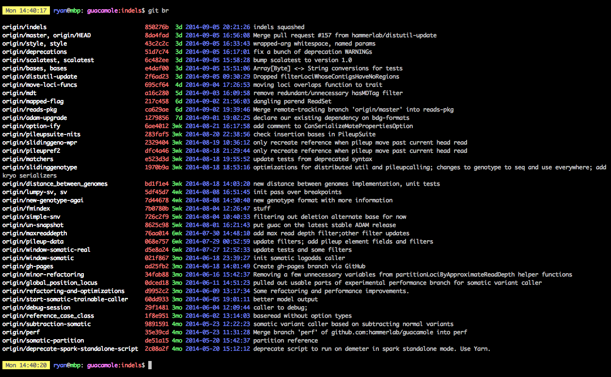 git remote-branches