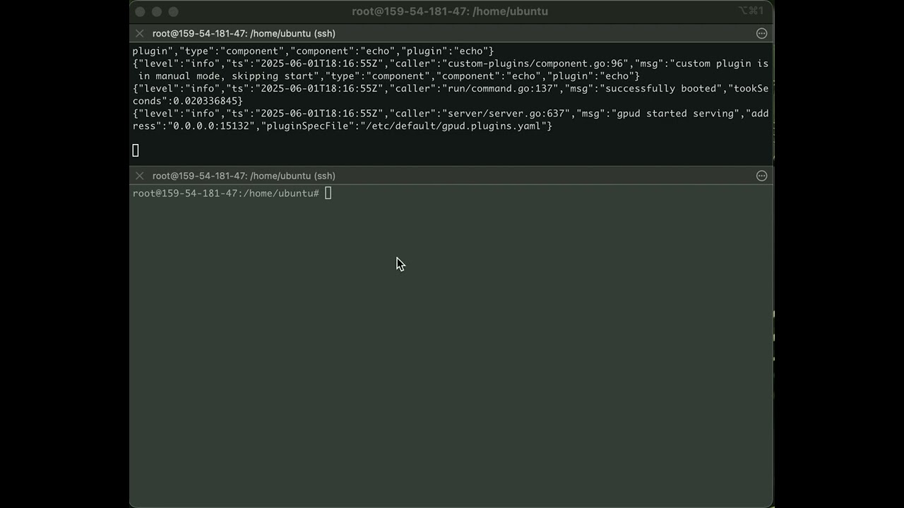 gpud-2025-06-01-07-only-enable-plugins
