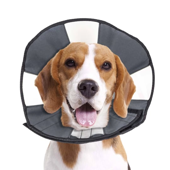 zenpet-zencone-soft-recovery-collar-medium-black-1