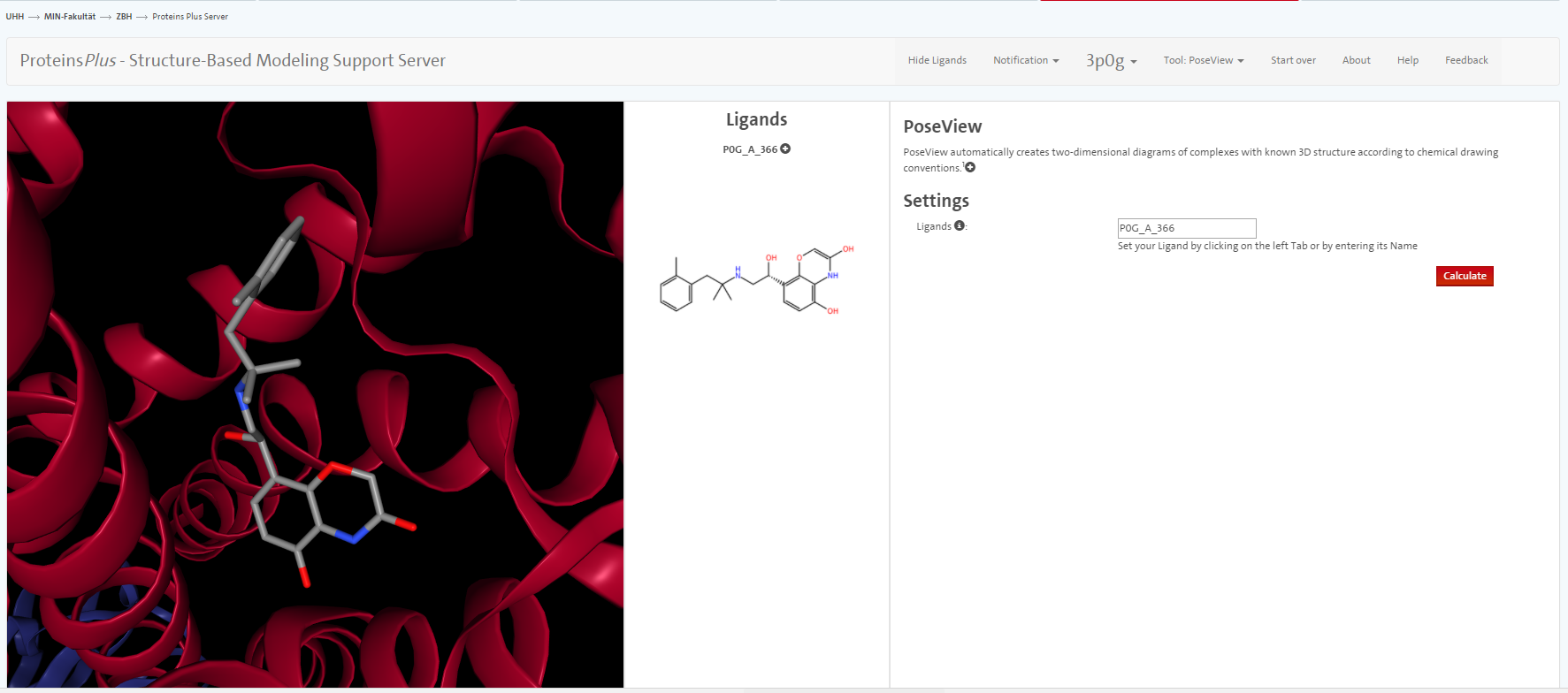 Zoom on ligand of 3P0G