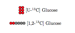 carbonlabel exaple output